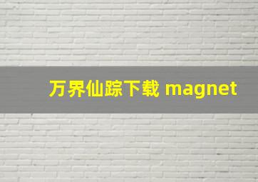 万界仙踪下载 magnet